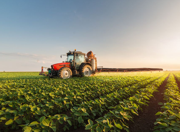 Hob Cutter Re sharpening